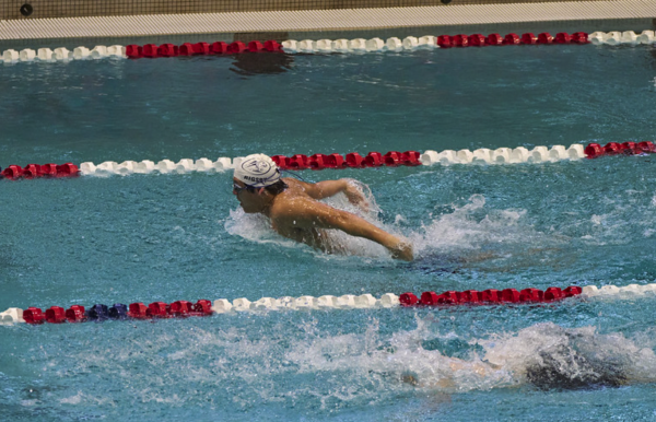 Navigation to Story: Swimming to Success